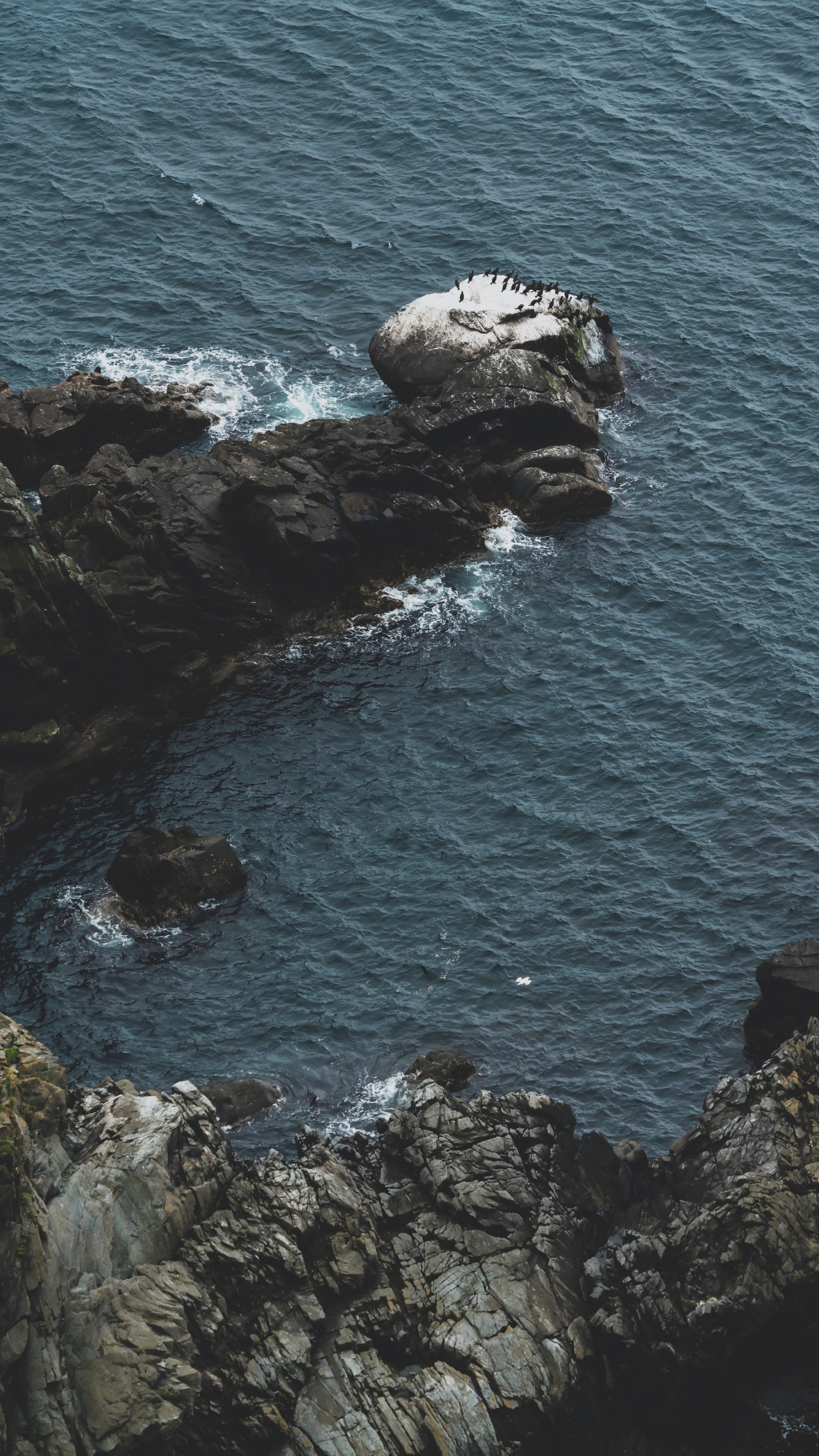 沿海和海洋地貌, 岸边, 海洋, Klippe, 海岸 壁纸 1440x2560 允许
