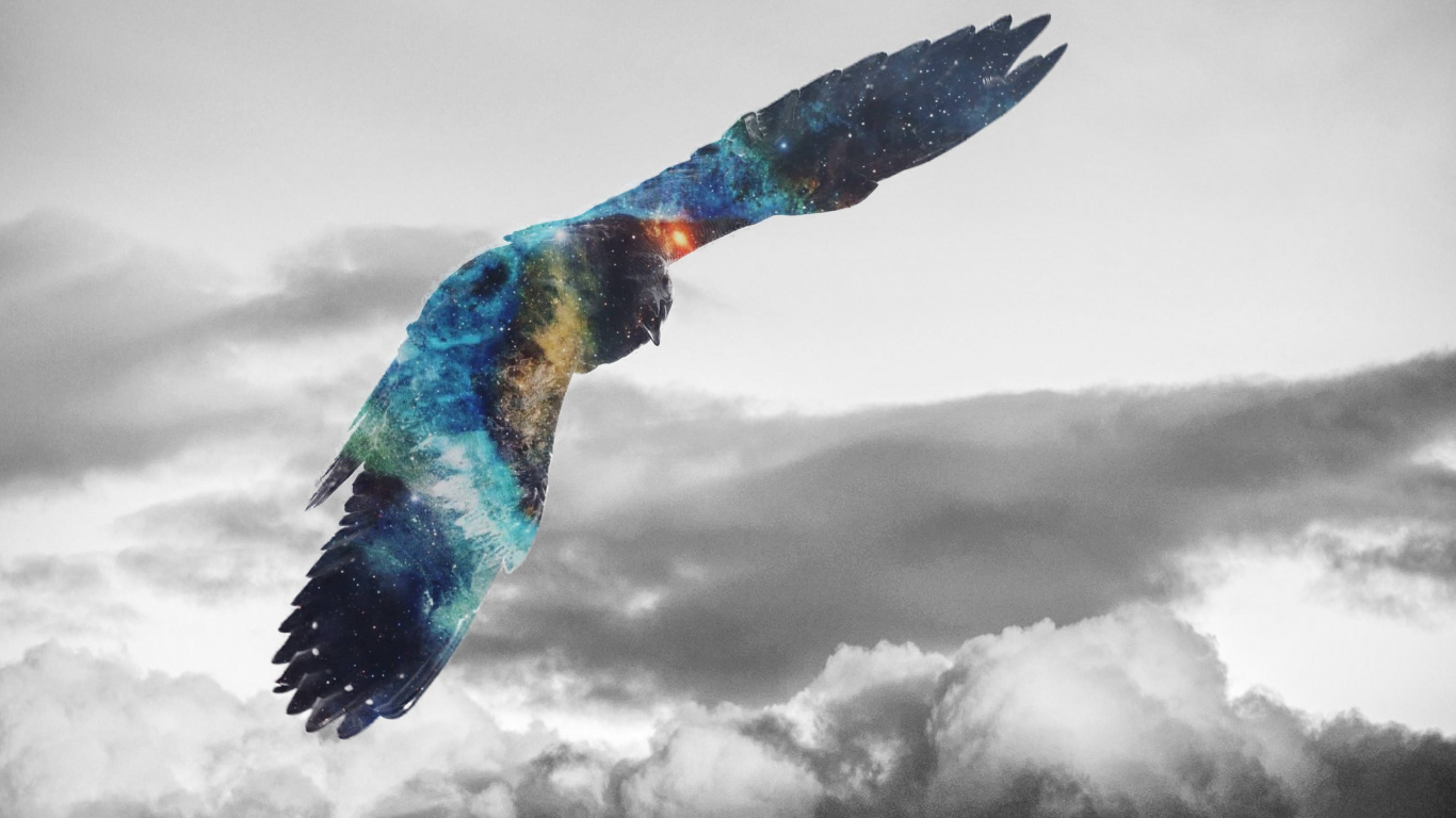 Blue Orange and Green Bird Flying Under White Clouds. Wallpaper in 1366x768 Resolution