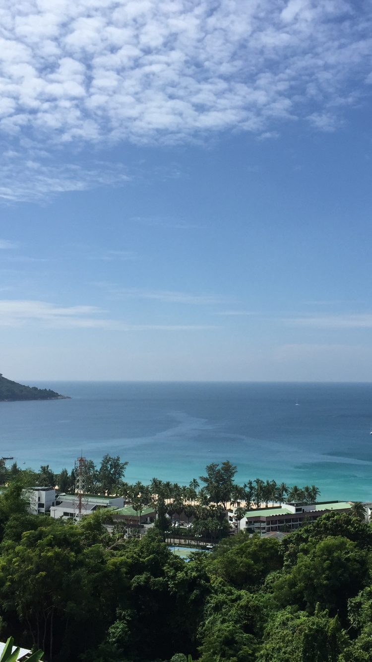 植被, 海岸, 海洋, 地平线, Azure 壁纸 750x1334 允许