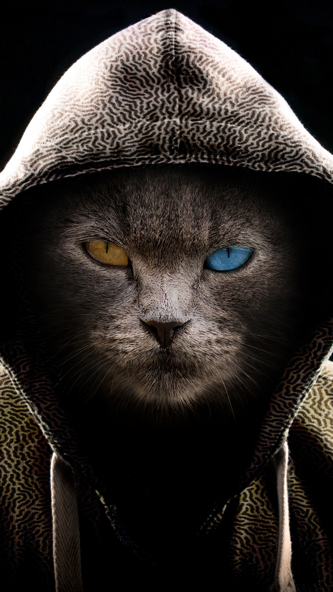 Mann im Grauen Hoodie Mit Blauen Augen. Wallpaper in 1080x1920 Resolution