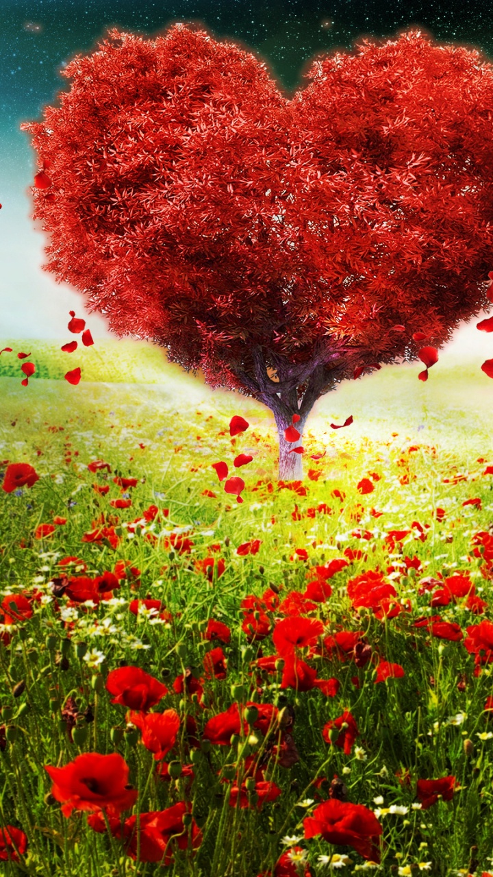 Heart, Valentines Day, Meadow, Flower, Valentines Day Landscape. Wallpaper in 720x1280 Resolution