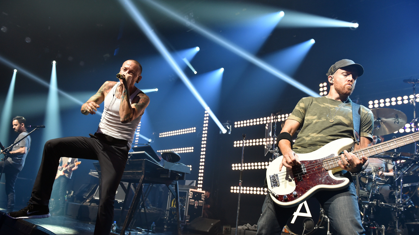 la Musique de L'artiste, Guitare Basse, Guitariste, Concert, Le Bassiste. Wallpaper in 1366x768 Resolution