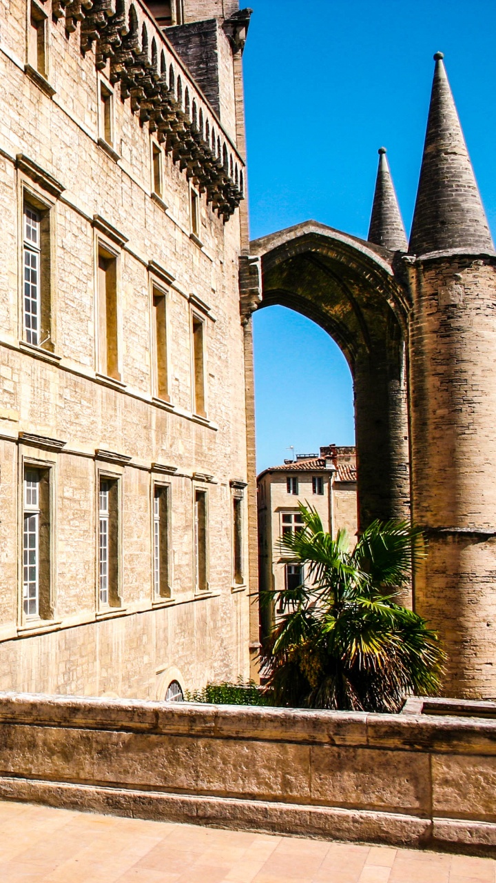 Bâtiment en Béton Gris Avec Des Plantes Vertes. Wallpaper in 720x1280 Resolution