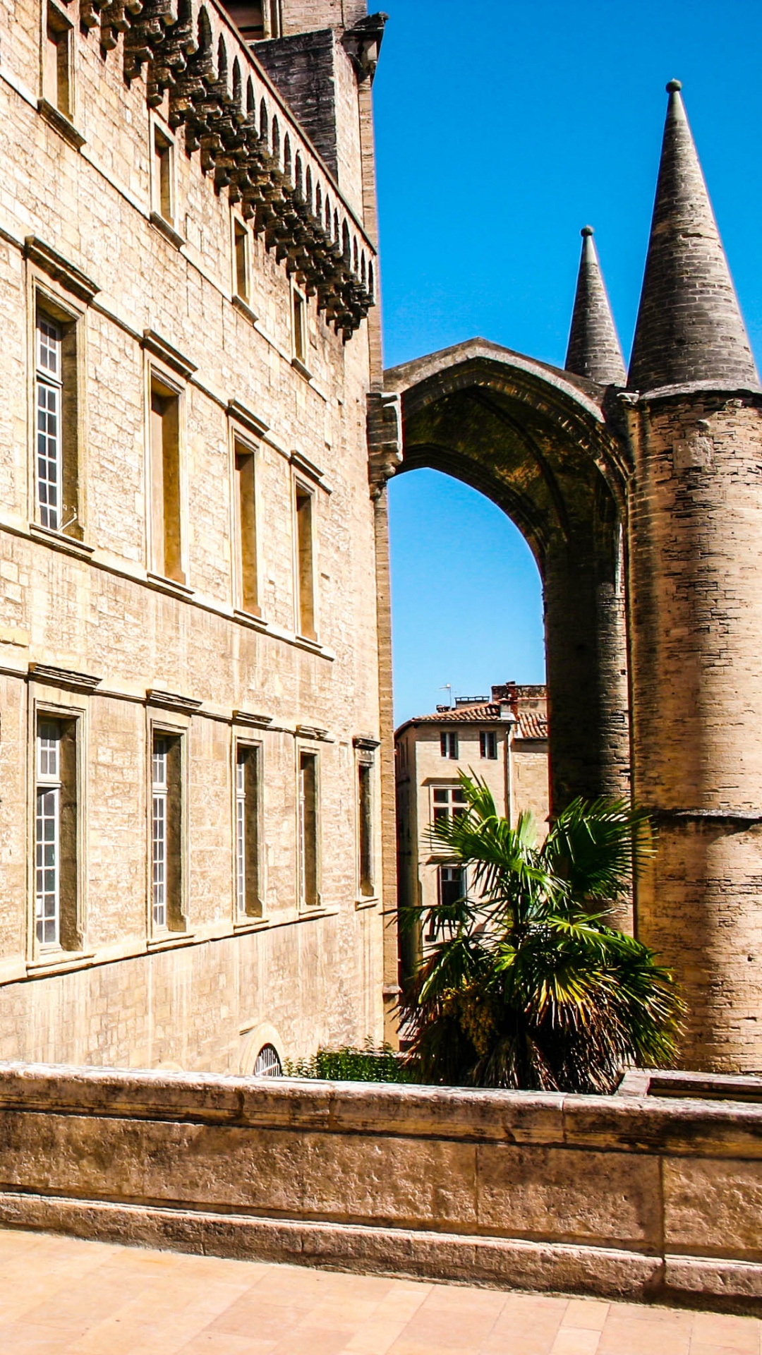 Edificio de Hormigón Gris Con Plantas Verdes. Wallpaper in 1080x1920 Resolution