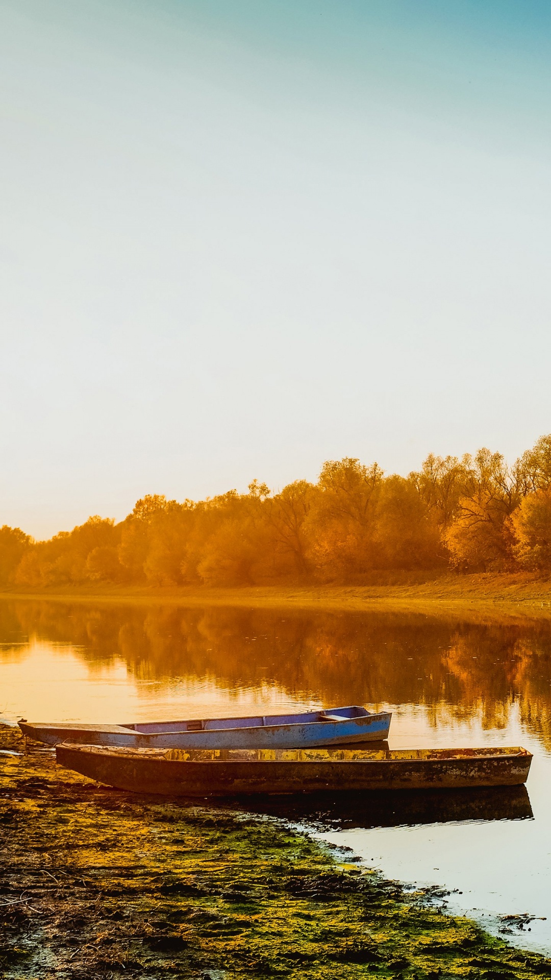 Reflection, Water, Water Resources, Nature, Plant. Wallpaper in 1080x1920 Resolution