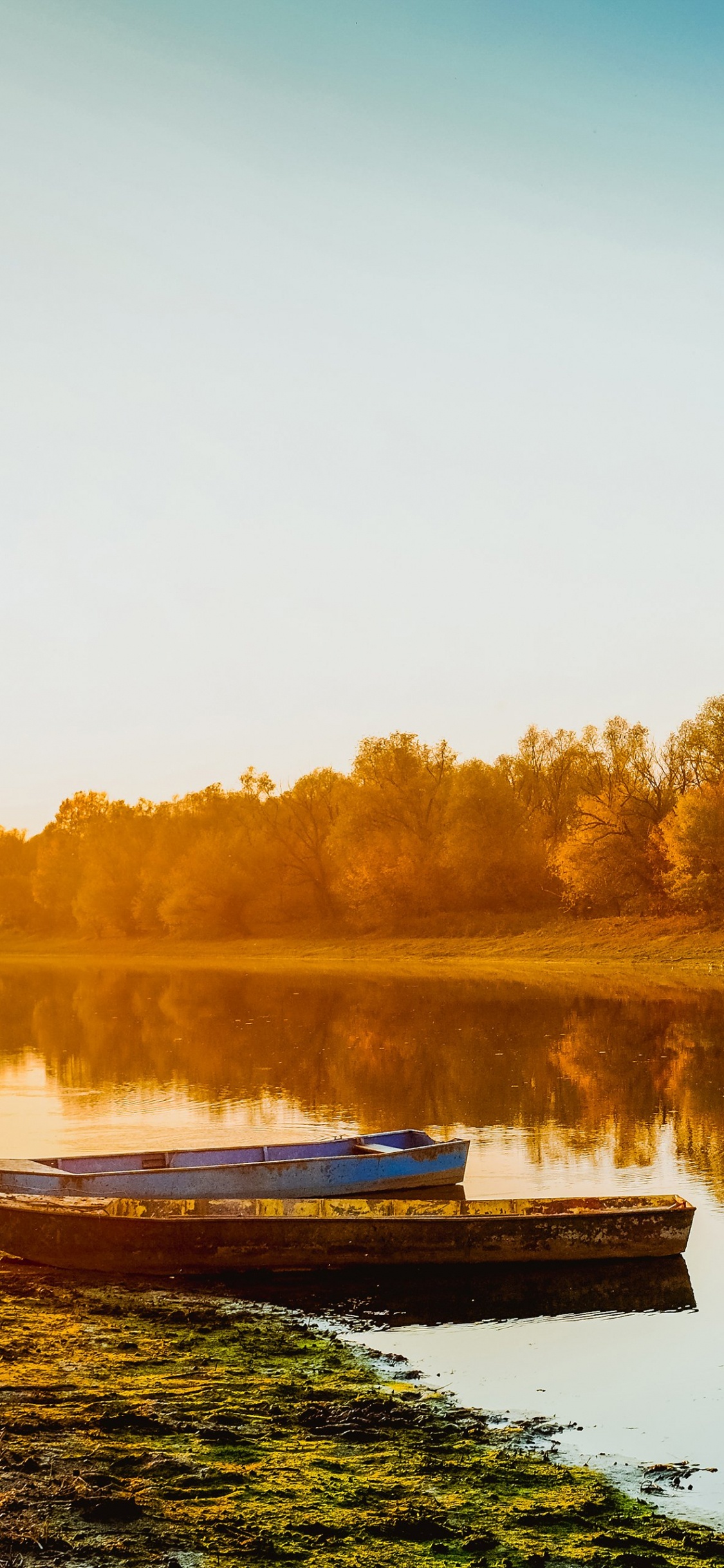 Reflection, Water, Water Resources, Nature, Plant. Wallpaper in 1125x2436 Resolution