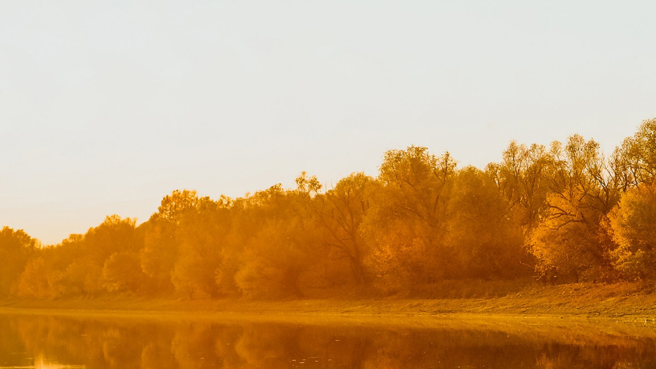 Reflection, Water, Water Resources, Nature, Plant. Wallpaper in 1280x720 Resolution