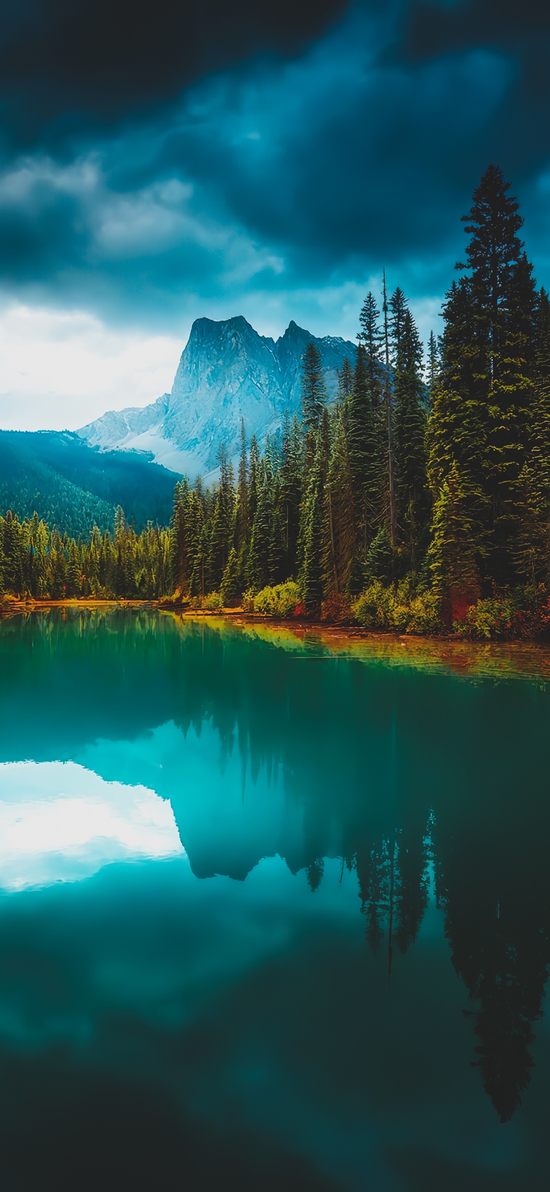 Reflexion, Wasser, Cloud, Baum, Naturlandschaft. Wallpaper in 1125x2436 Resolution