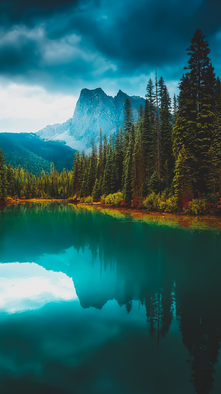 Reflexion, Wasser, Cloud, Baum, Naturlandschaft. Wallpaper in 750x1334 Resolution