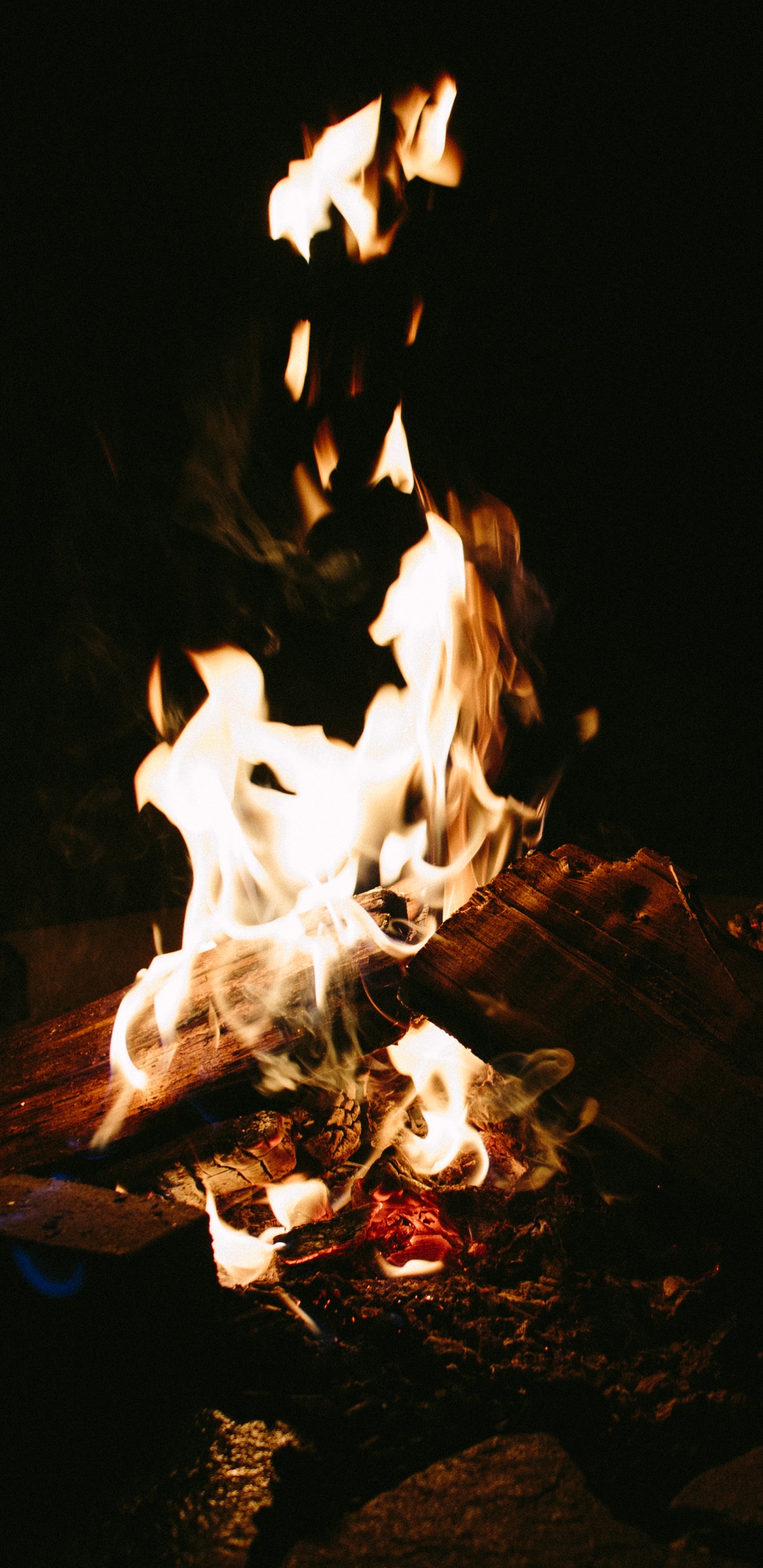 Fire, Heat, Flame, Campfire, Bonfire. Wallpaper in 1440x2960 Resolution