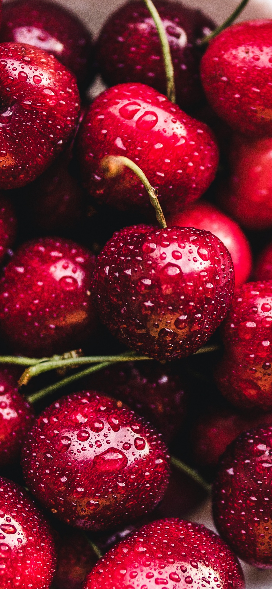 Red Cherries on White Ceramic Bowl. Wallpaper in 1125x2436 Resolution