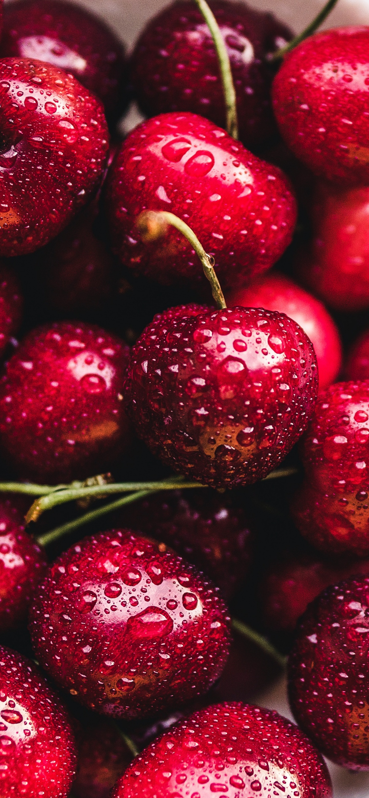 Cerises Rouges Sur Bol en Céramique Blanche. Wallpaper in 1242x2688 Resolution