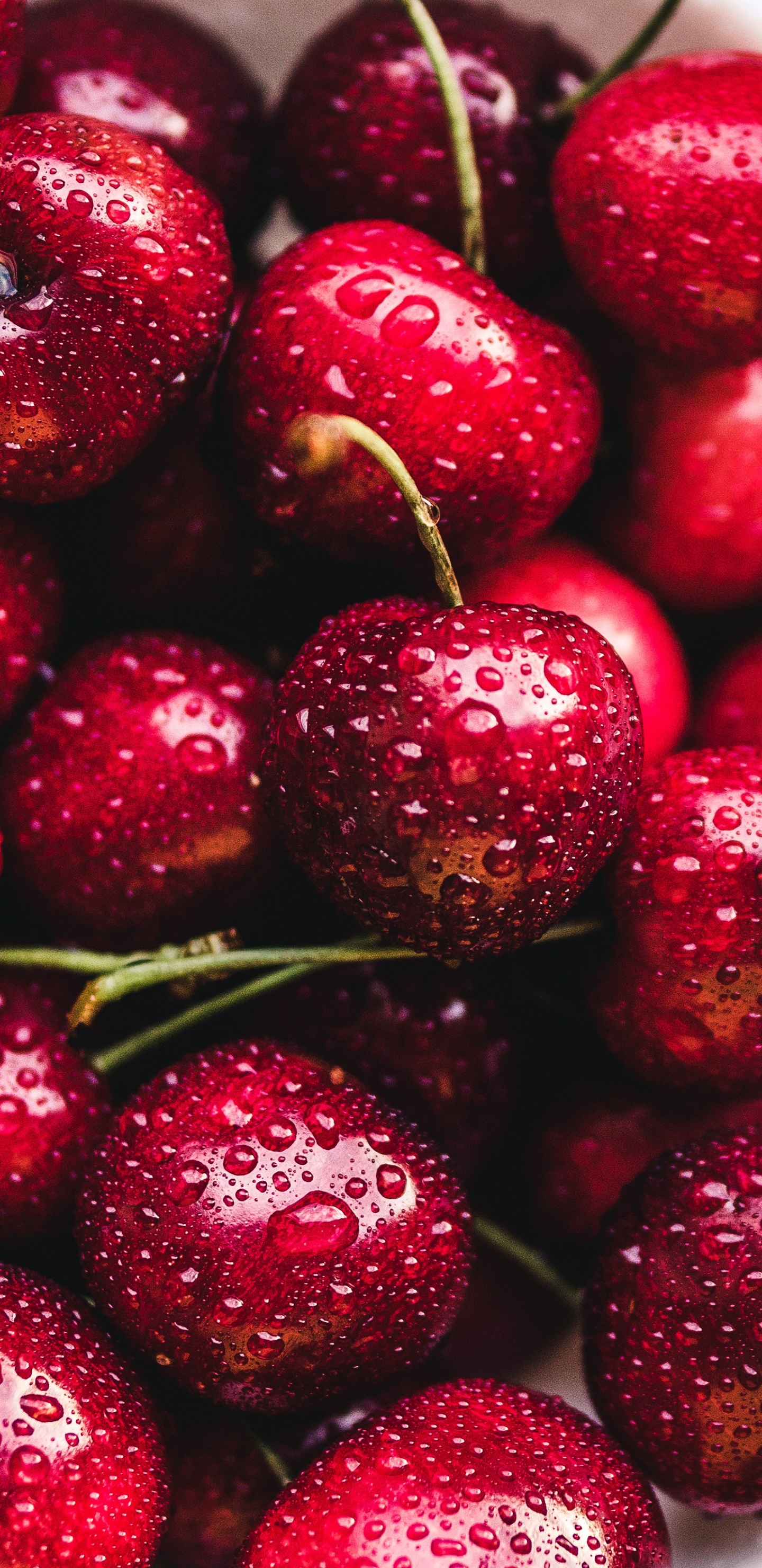 天然的食物, 食品, 红色的, 工厂, Clausena黄皮 壁纸 1440x2960 允许