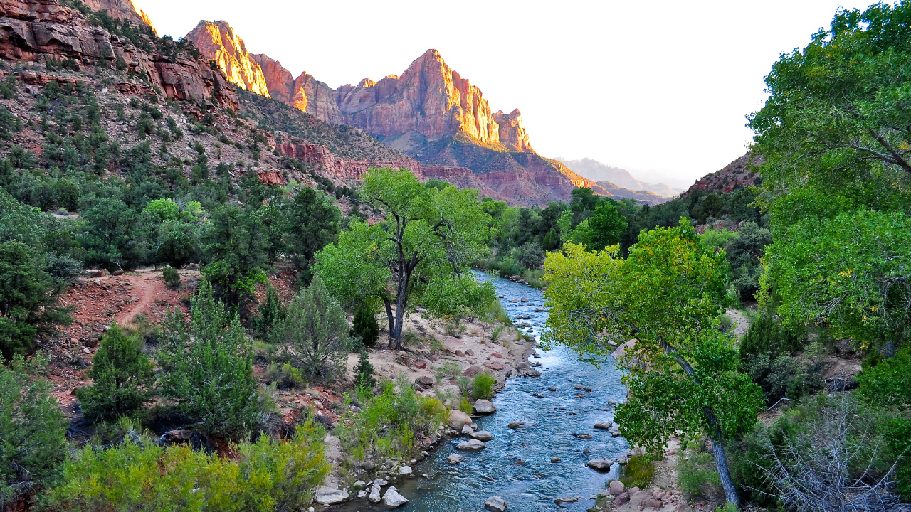 Grüne Bäume in Der Nähe Des Flusses Tagsüber River. Wallpaper in 1280x720 Resolution