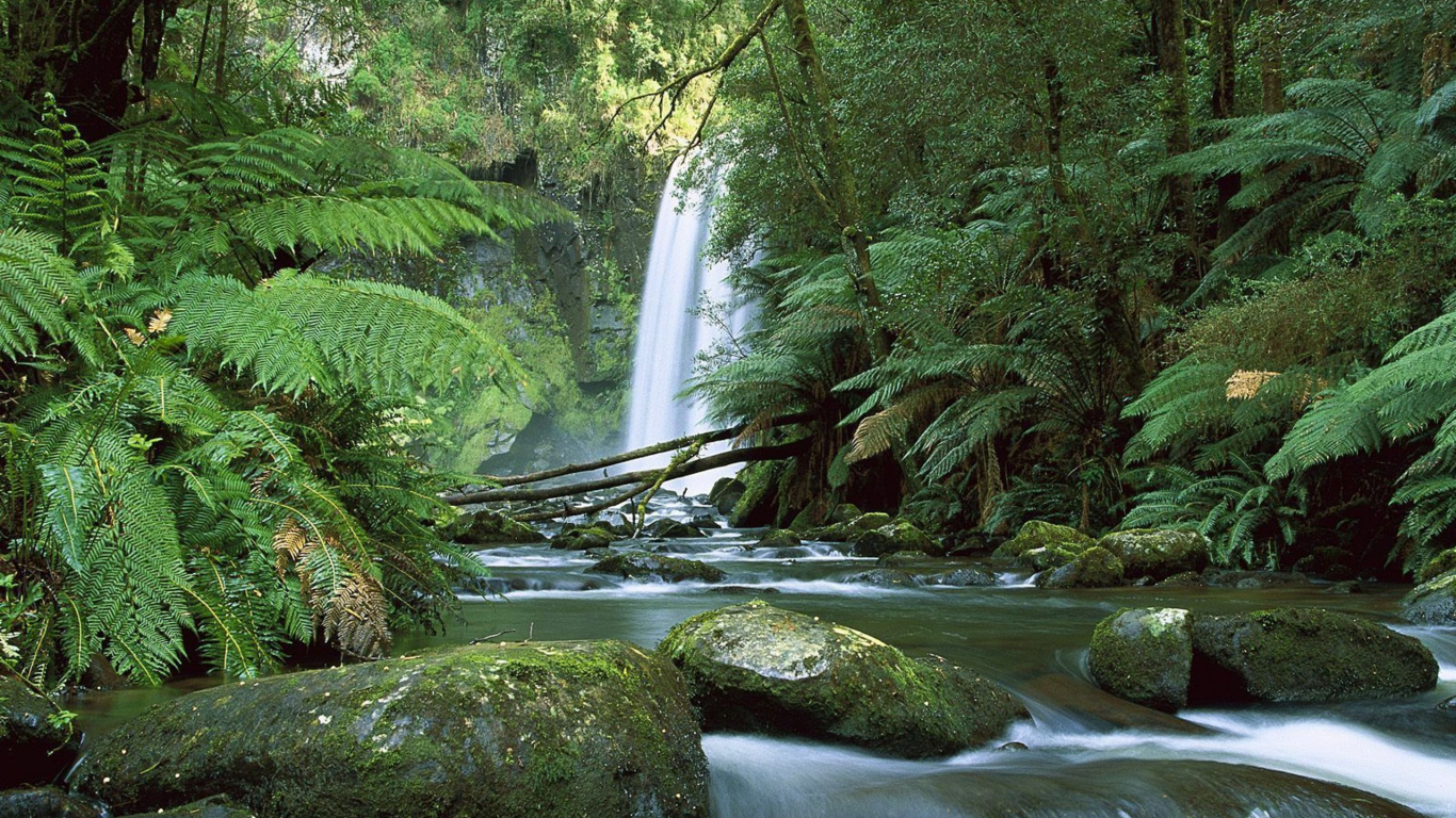 Green Moss on Brown Rock Near Waterfalls. Wallpaper in 1366x768 Resolution