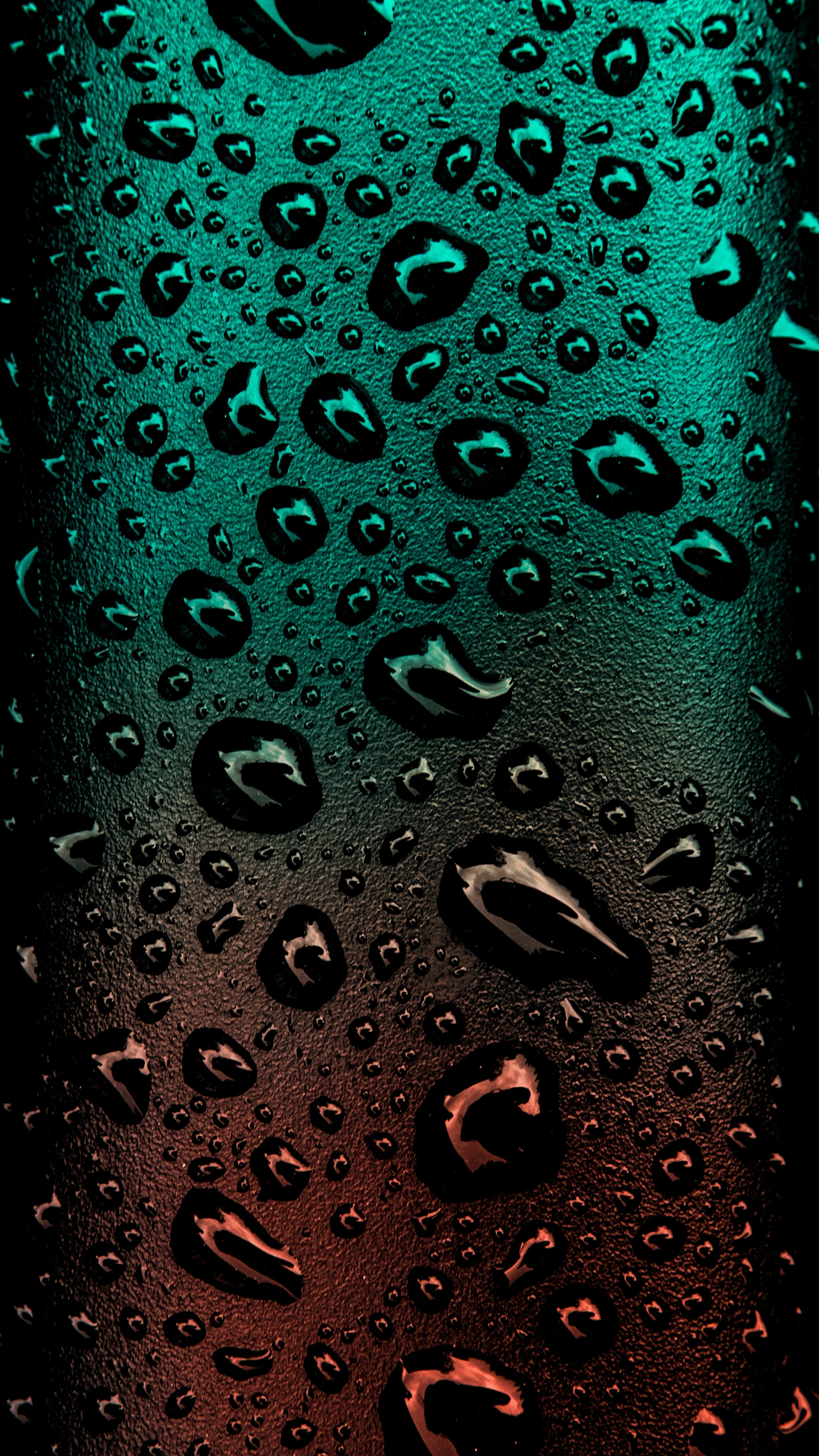 Wassertropfen Auf Glasscheibe. Wallpaper in 1440x2560 Resolution