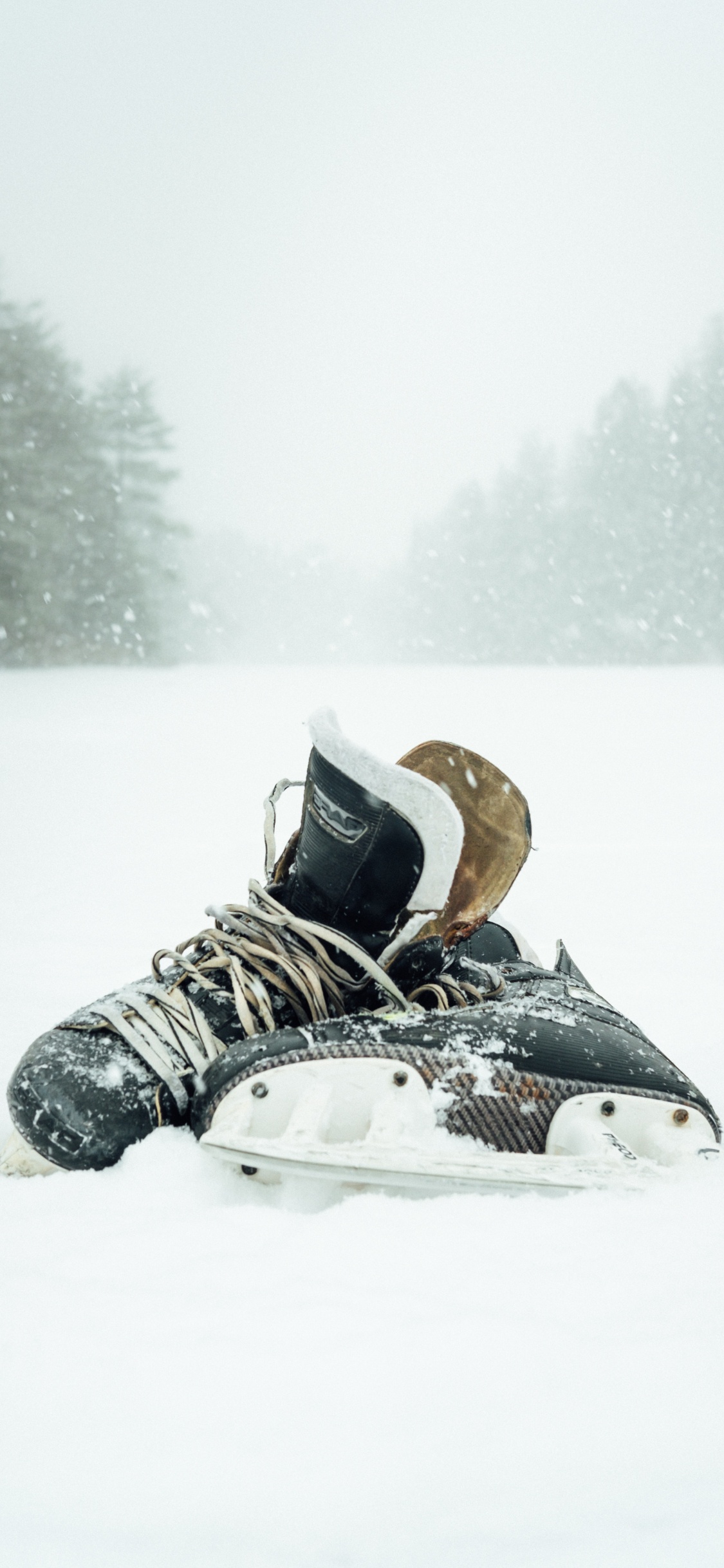 Esquí de Nieve en Blanco y Negro Sobre un Terreno Cubierto de Nieve Durante el Día. Wallpaper in 1125x2436 Resolution
