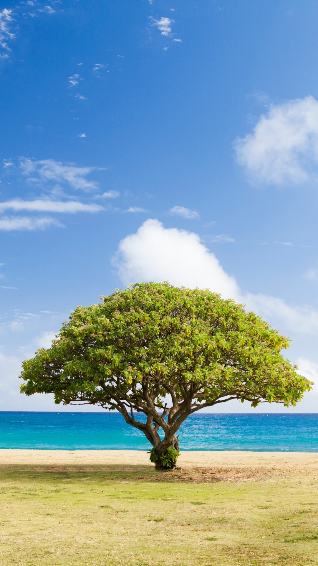 Agua, Azul, Azure, Paisaje Natural, Cumulus. Wallpaper in 1080x1920 Resolution