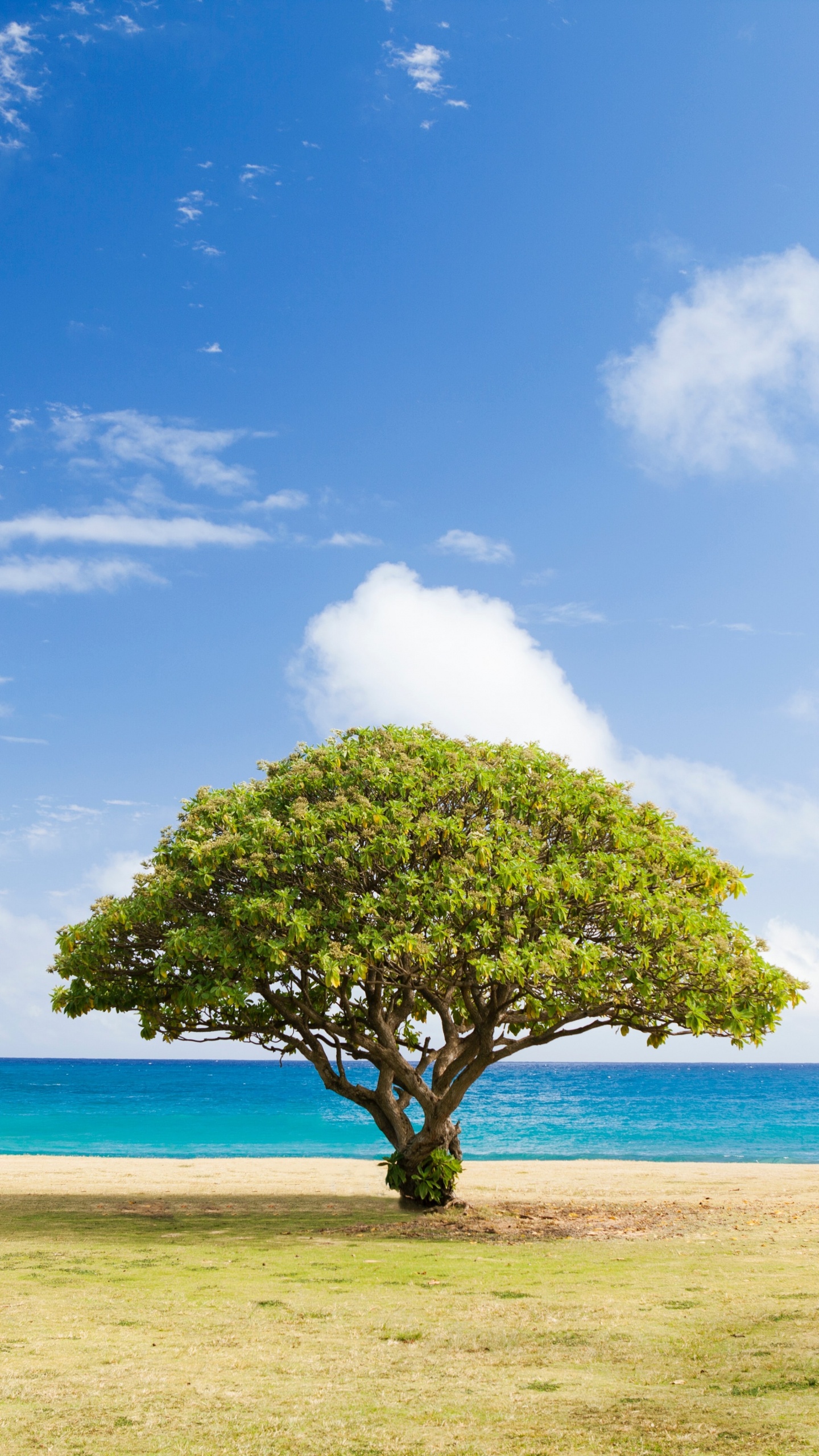 Agua, Azul, Azure, Paisaje Natural, Cumulus. Wallpaper in 1440x2560 Resolution