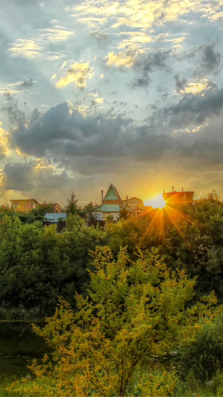 Green Trees Near Body of Water During Daytime. Wallpaper in 750x1334 Resolution