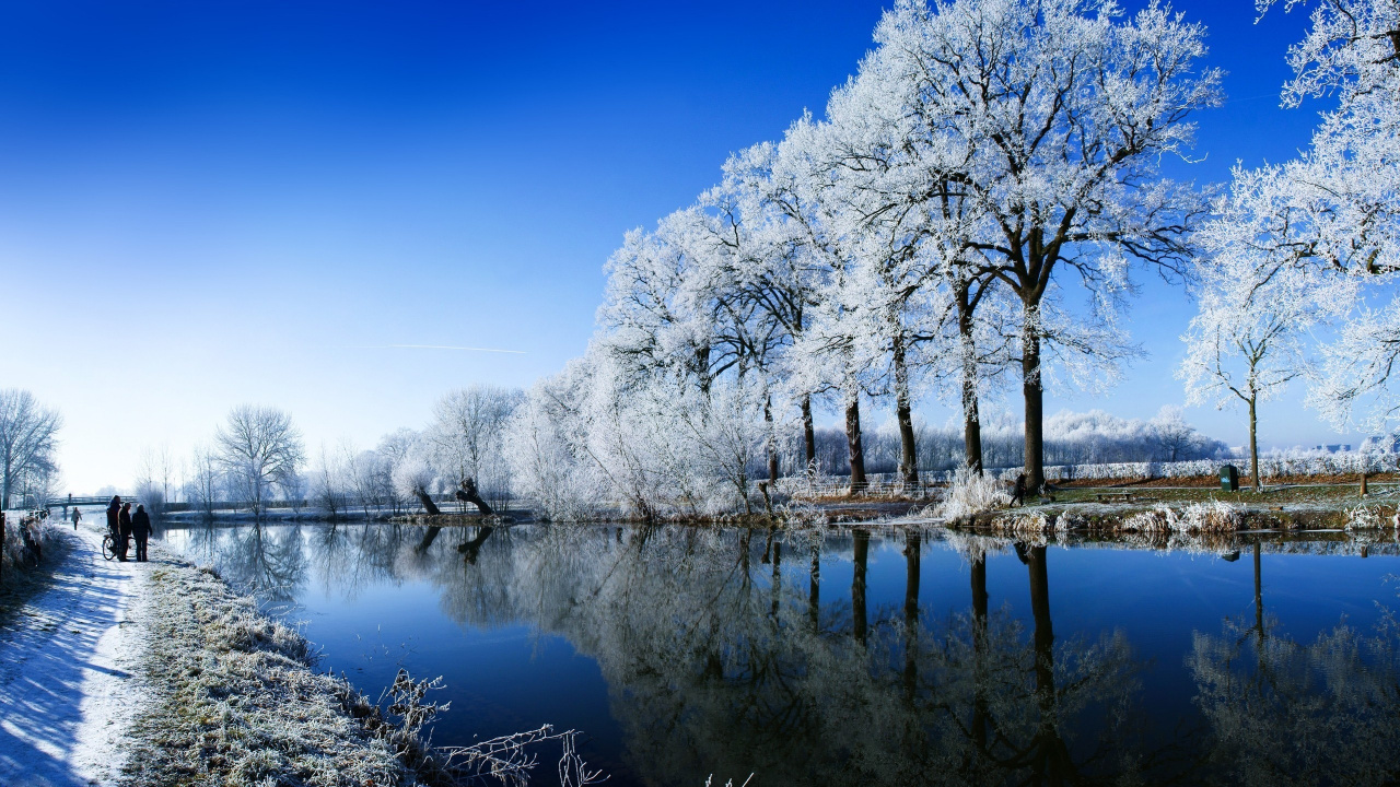 White Trees Near Body of Water During Daytime. Wallpaper in 1280x720 Resolution