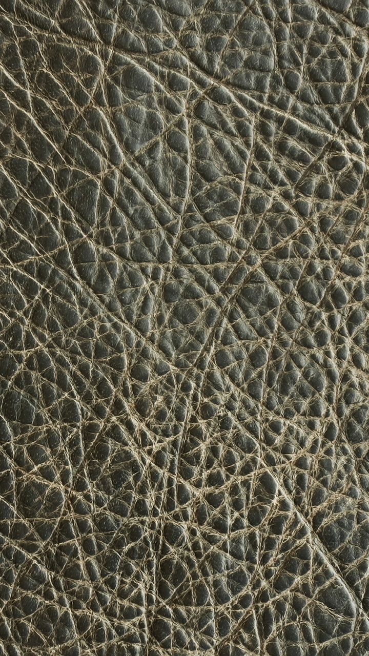 皮革, 纹理映, 皮肤, 草, 虚拟现实 壁纸 720x1280 允许