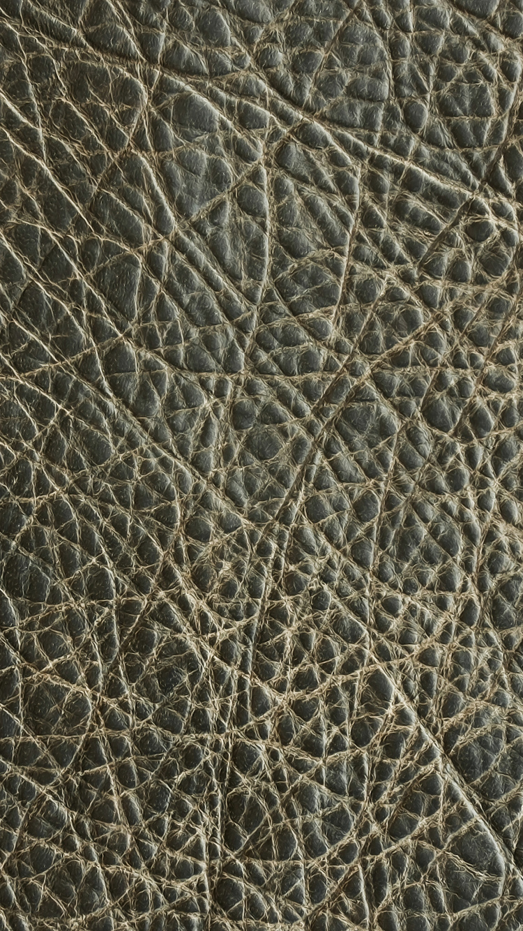 皮革, 纹理映, 皮肤, 草, 虚拟现实 壁纸 750x1334 允许