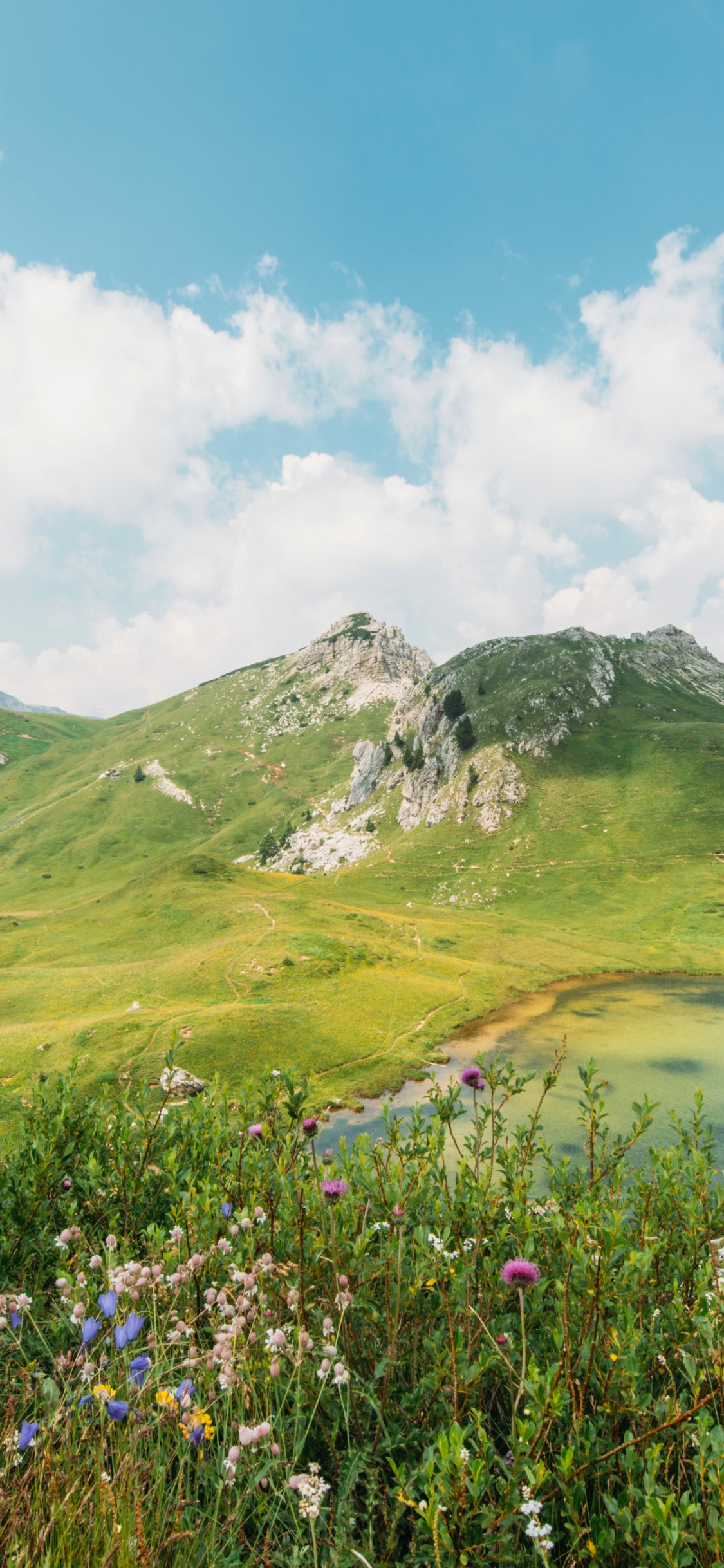 Parque Nandan Pahar Deoghar, Montaña, Paisaje Natural, Agua, Highland. Wallpaper in 1125x2436 Resolution