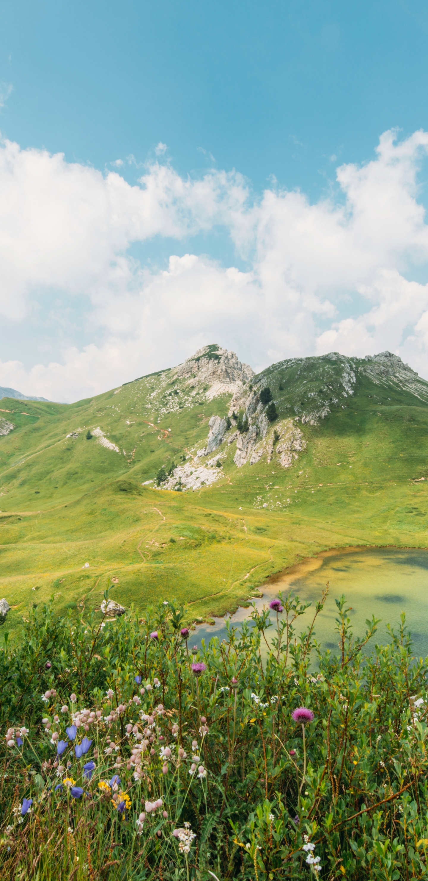 Parque Nandan Pahar Deoghar, Montaña, Paisaje Natural, Agua, Highland. Wallpaper in 1440x2960 Resolution