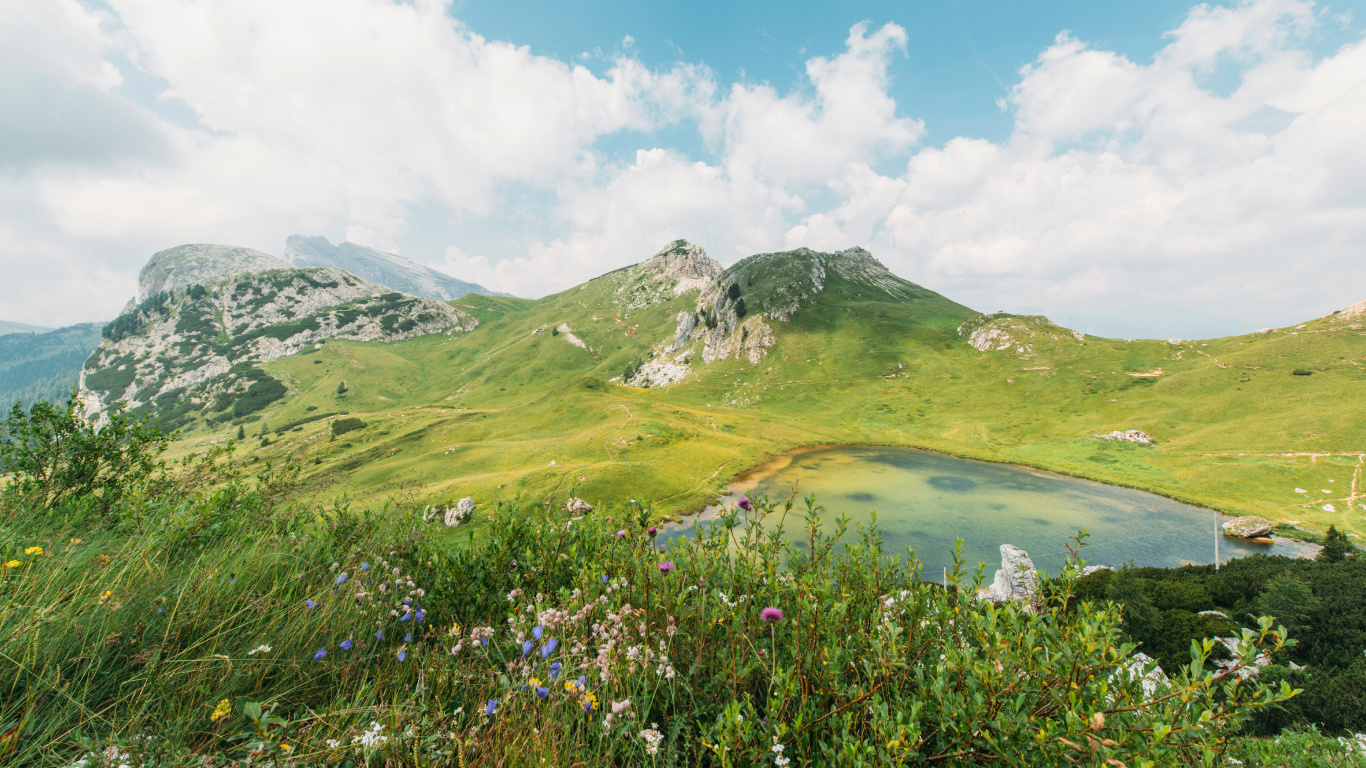 自然景观, 高地, 植被, 草 壁纸 1366x768 允许