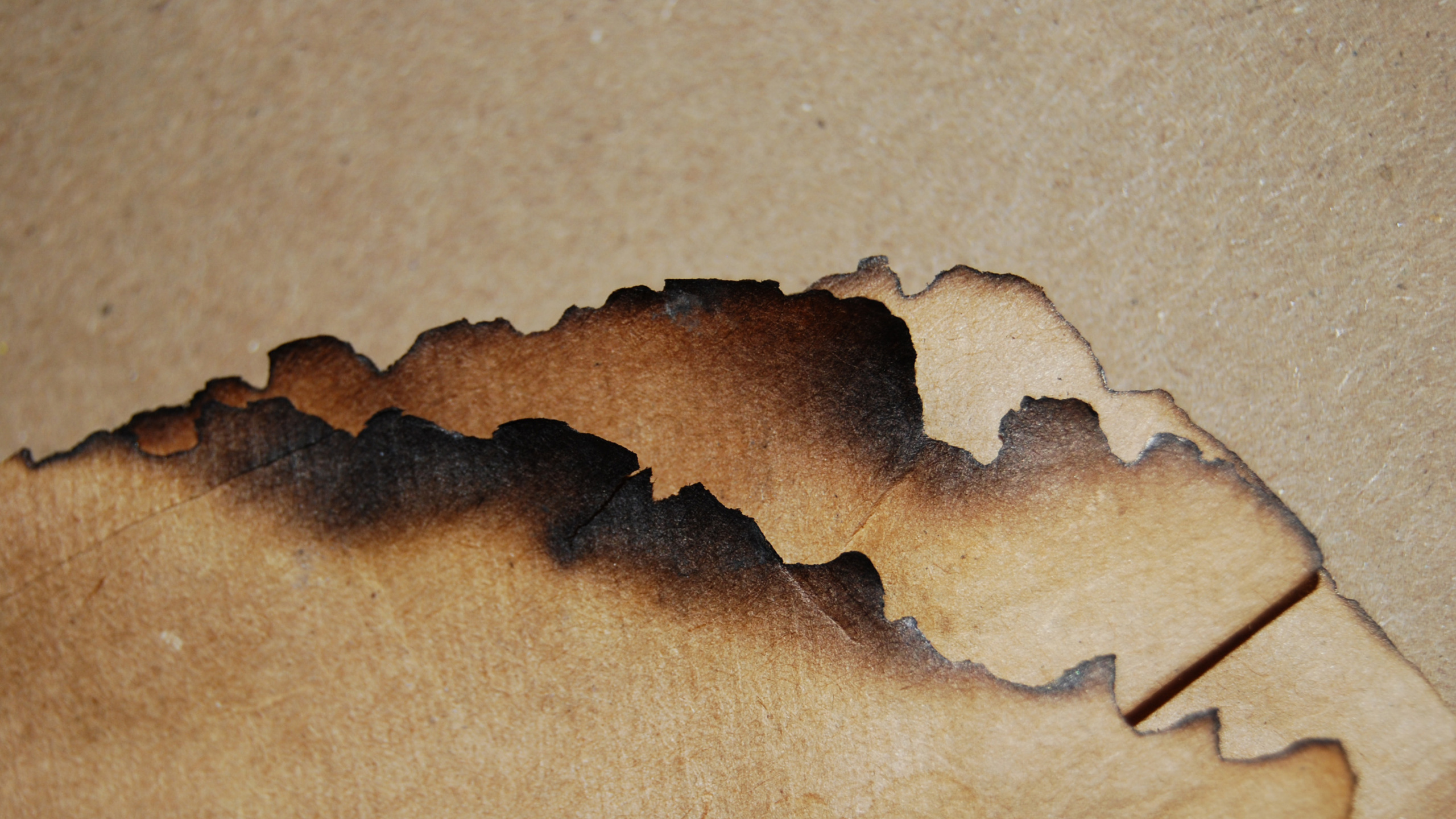 Brown and White Abstract Painting. Wallpaper in 2560x1440 Resolution