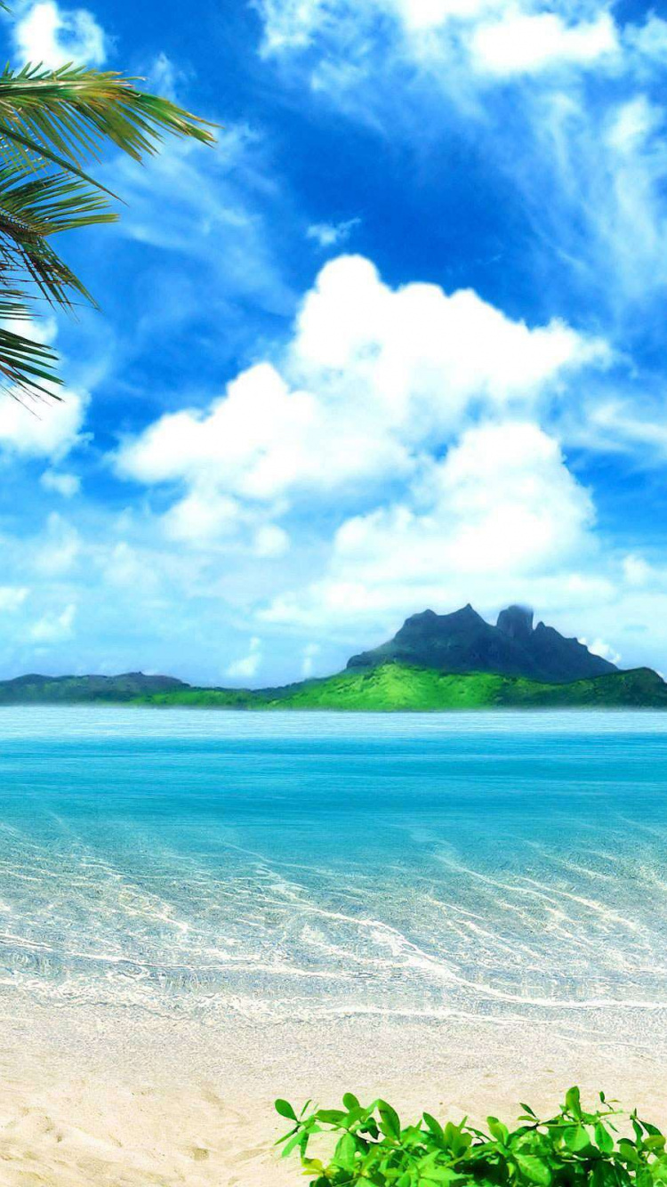 Grüne Palme am Weißen Sandstrand Tagsüber. Wallpaper in 750x1334 Resolution