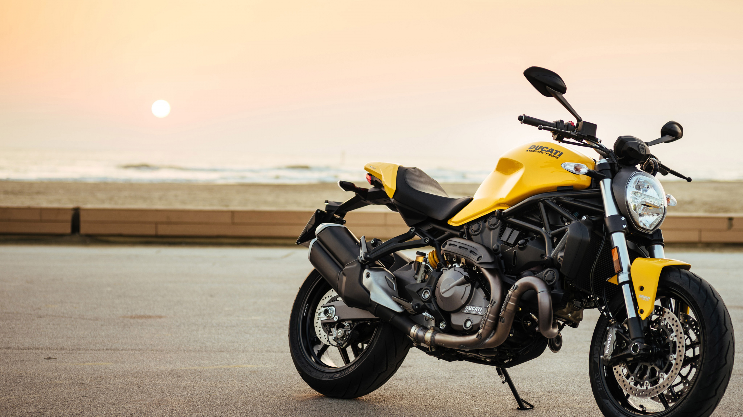 Gelbes Und Schwarzes Sportfahrrad Auf Grauer Asphaltstraße Tagsüber. Wallpaper in 2560x1440 Resolution