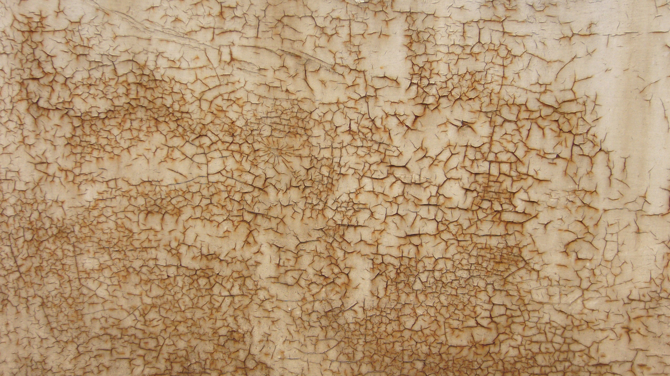 Textile Floral Marron et Blanc. Wallpaper in 1366x768 Resolution