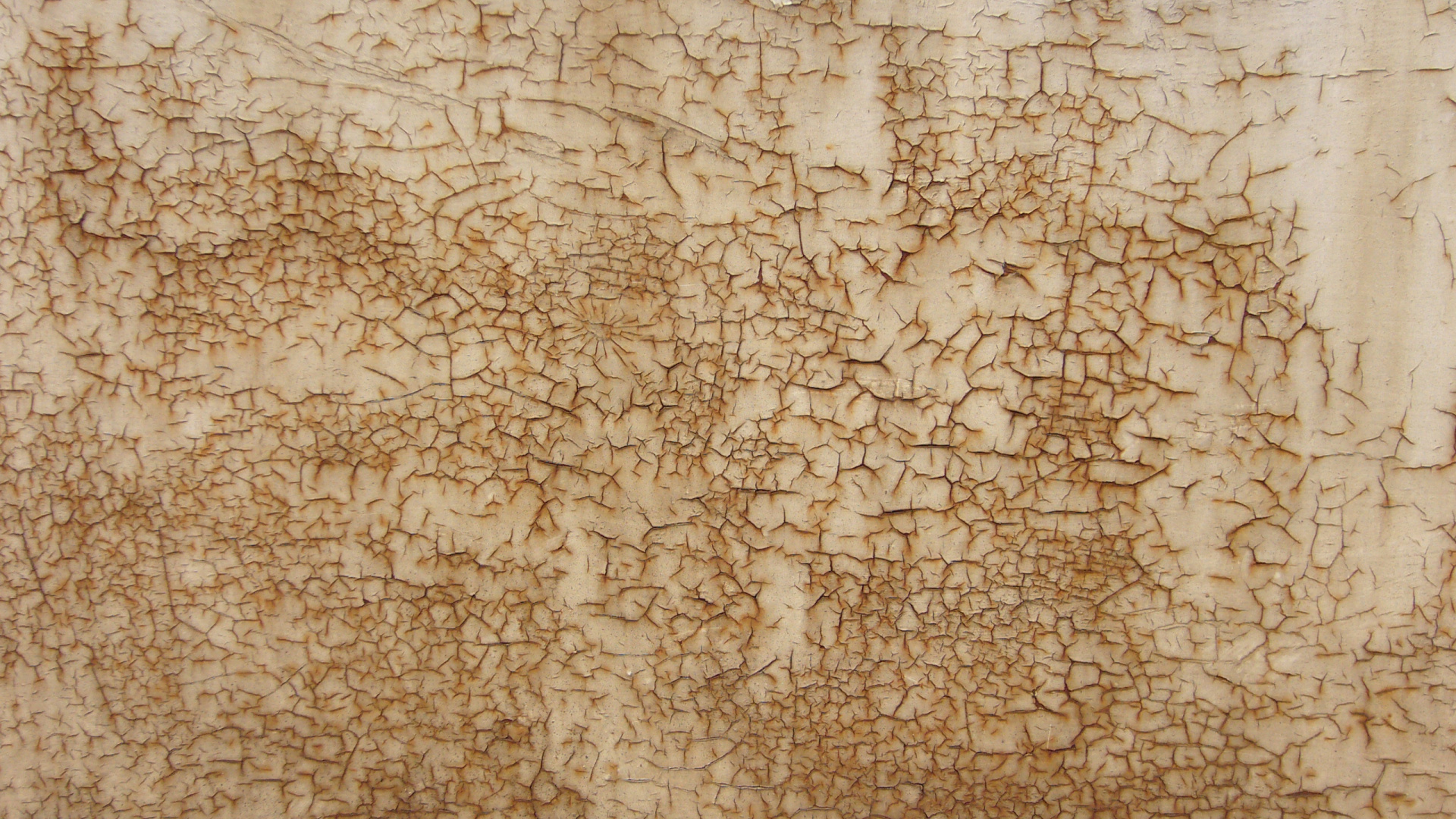 Brown and White Floral Textile. Wallpaper in 1920x1080 Resolution