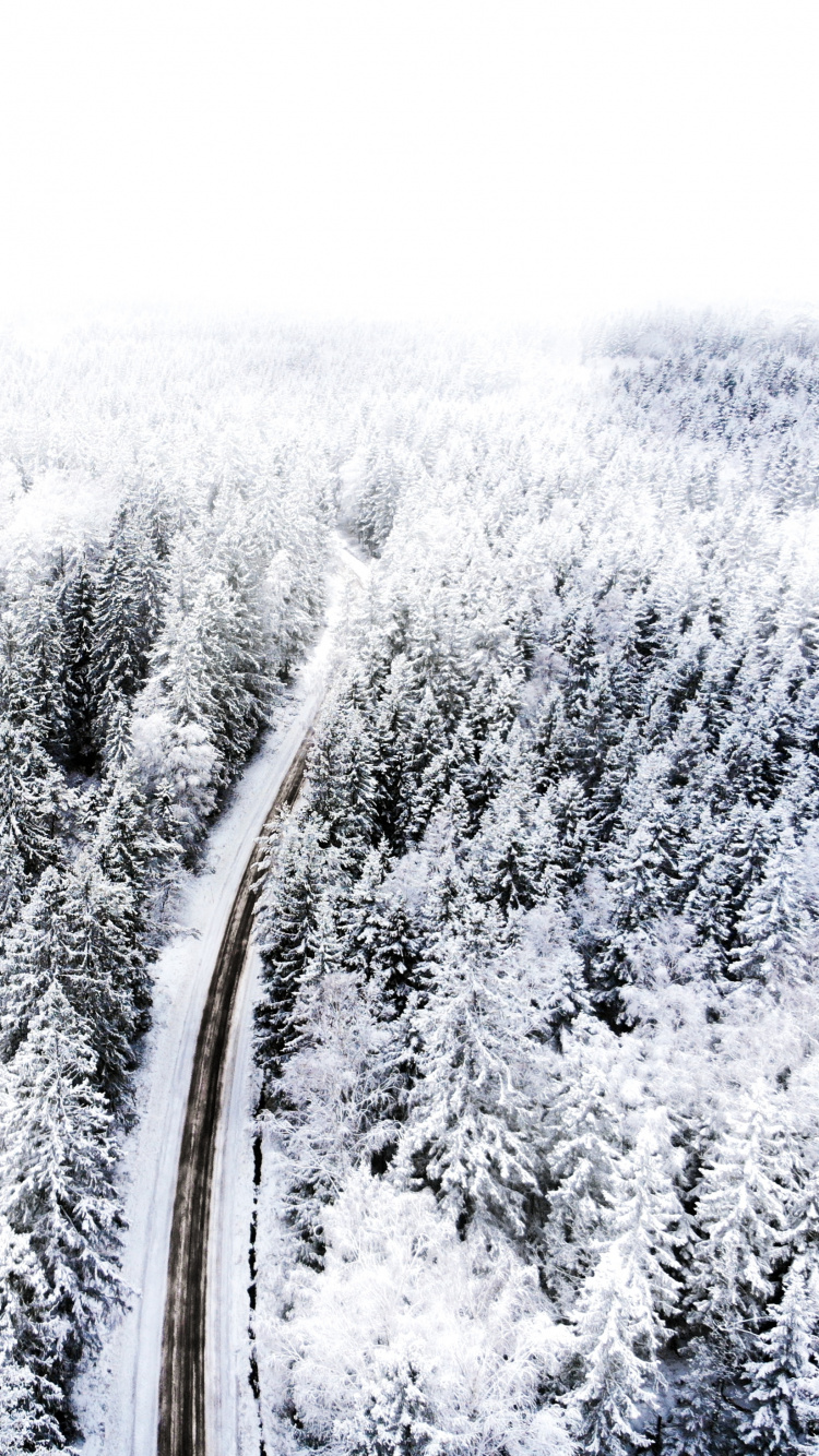 Schnee, Einfrieren, Baum, Branch, Frost. Wallpaper in 750x1334 Resolution