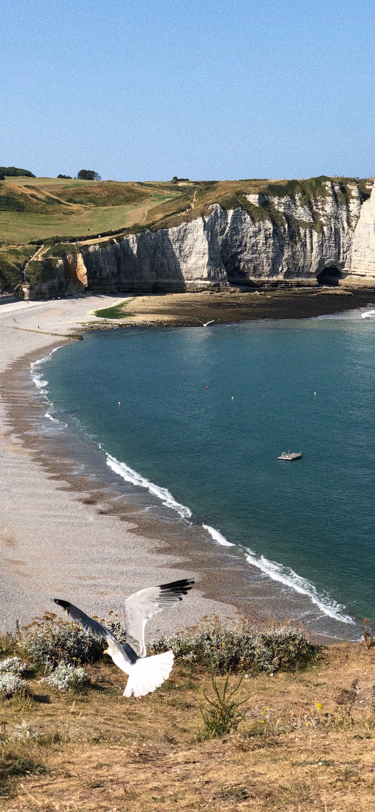 Aval Cliff, Promontory, Headland, Body of Water, Coast. Wallpaper in 1242x2688 Resolution