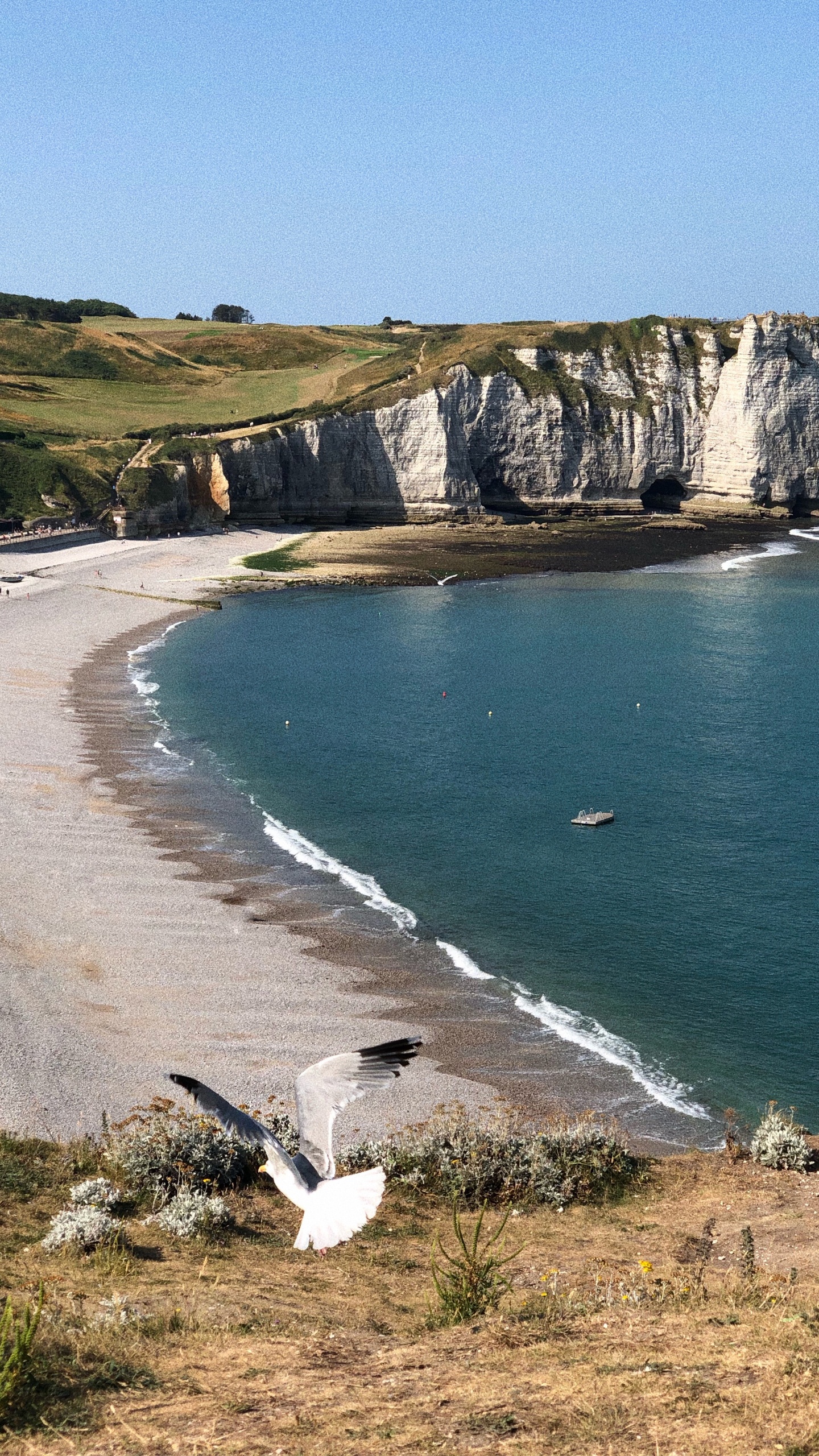Aval Cliff, Promontory, Headland, Body of Water, Coast. Wallpaper in 1440x2560 Resolution