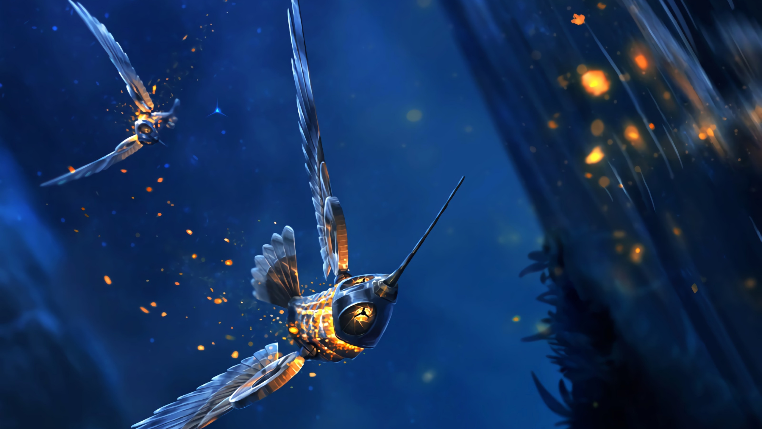 Libellule Jaune et Noire en Photographie Rapprochée. Wallpaper in 2560x1440 Resolution