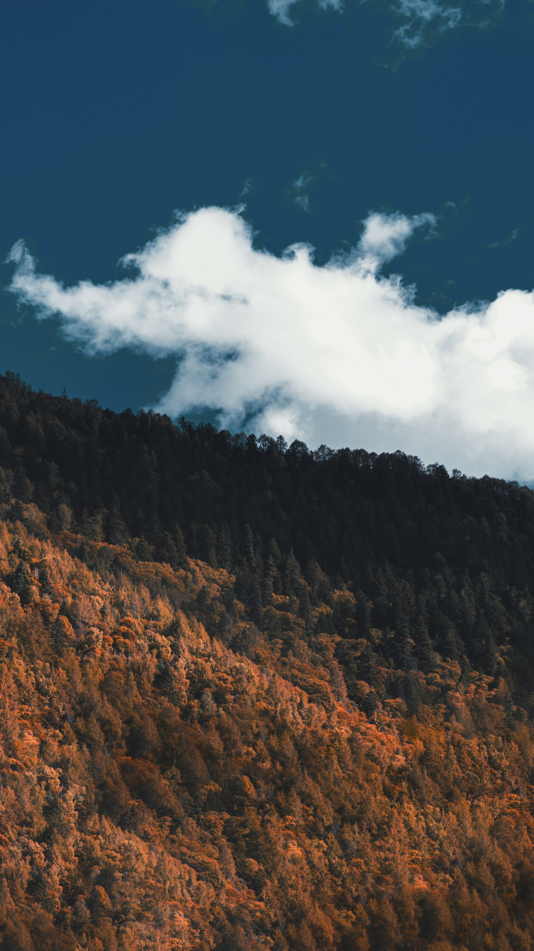 Les Reliefs Montagneux, Sol, Colline, Highland, Atmosphère. Wallpaper in 750x1334 Resolution