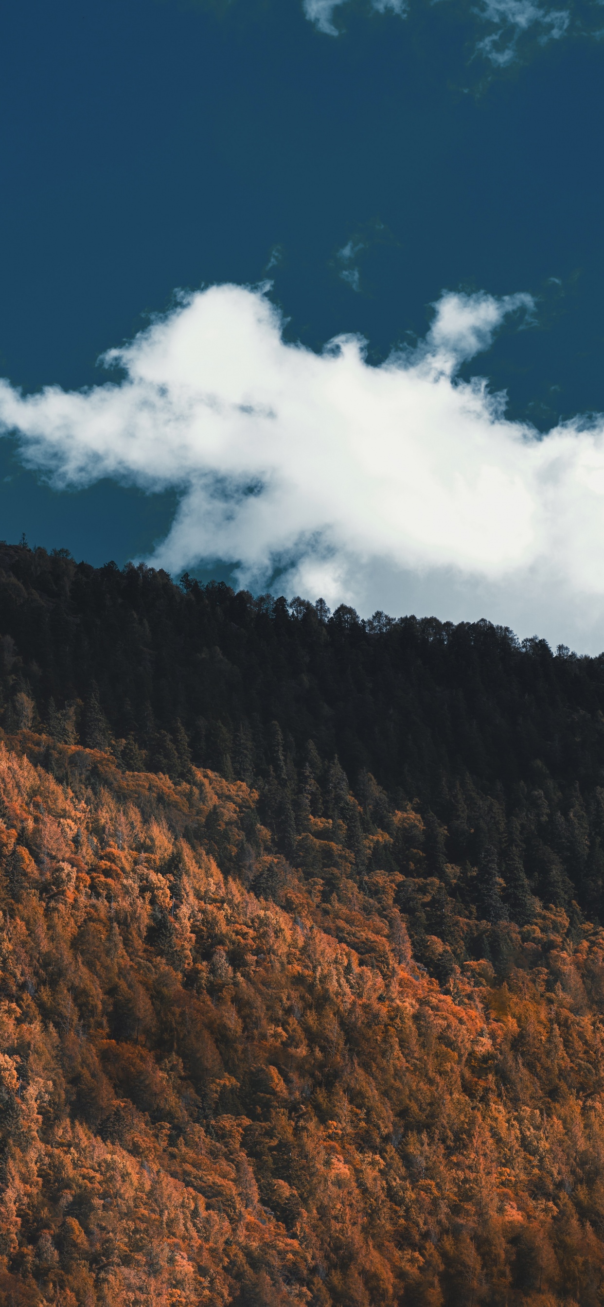 Cloud, Bergigen Landschaftsformen, Wildnis, Boden, Hill. Wallpaper in 1242x2688 Resolution