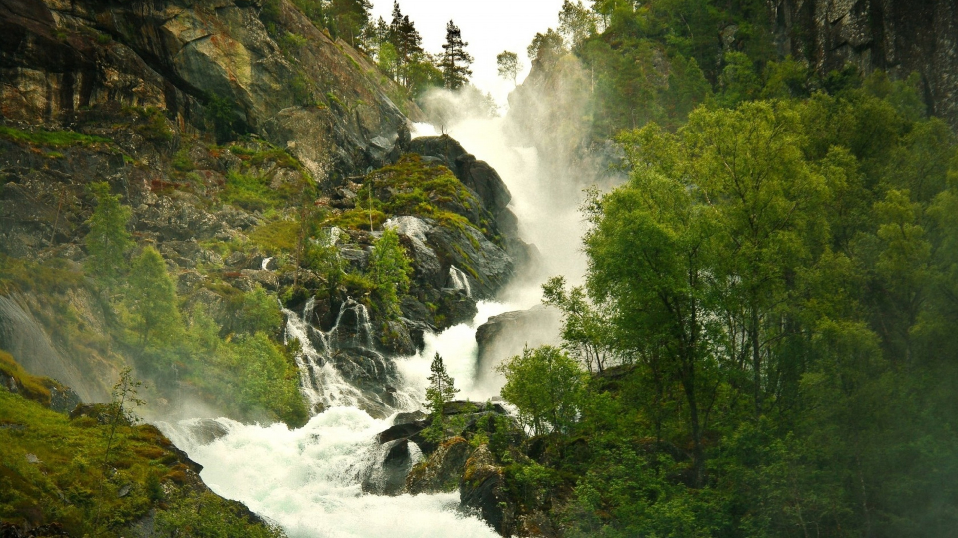 Waterfalls in The Middle of Green Trees. Wallpaper in 1920x1080 Resolution