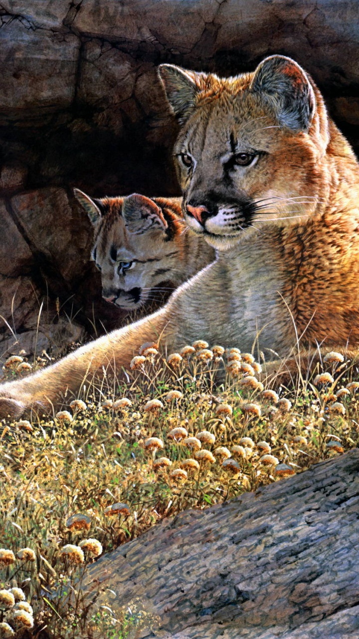 Brown and White Tiger on Green Grass During Daytime. Wallpaper in 720x1280 Resolution