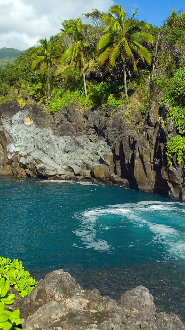 Agua Verde Rodeada de Rocas Grises y Árboles Verdes Durante el Día.. Wallpaper in 750x1334 Resolution