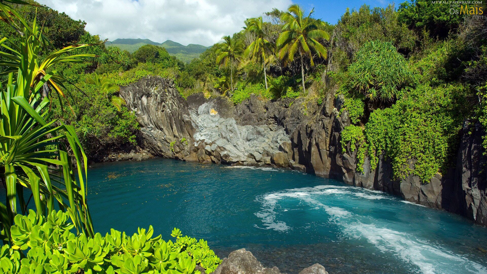 Green Water Surrounded by Gray Rocks and Green Trees During Daytime. Wallpaper in 1920x1080 Resolution