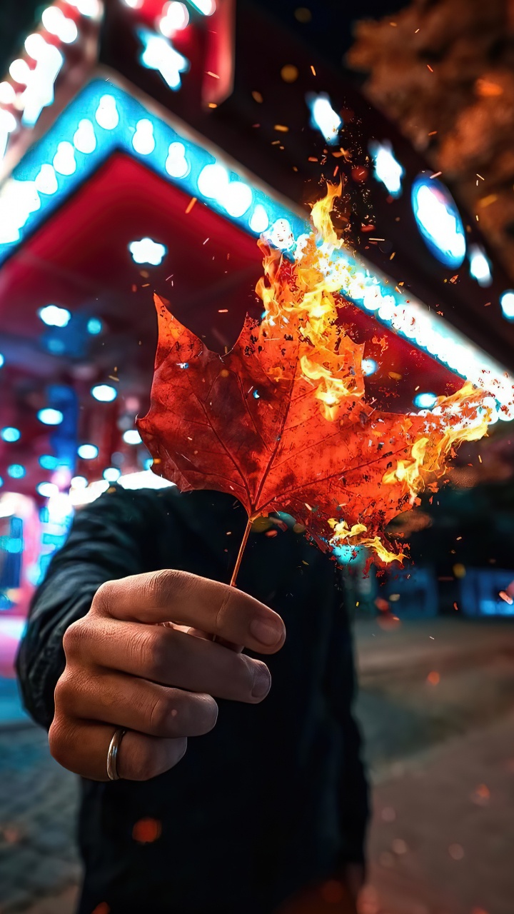 Lumière, Feuille, Geste, Fenêtre, Amusement. Wallpaper in 720x1280 Resolution