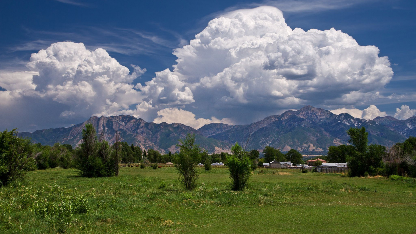Grüne Bäume Auf Grüner Wiese Unter Weißen Wolken Und Blauem Himmel Tagsüber. Wallpaper in 1366x768 Resolution