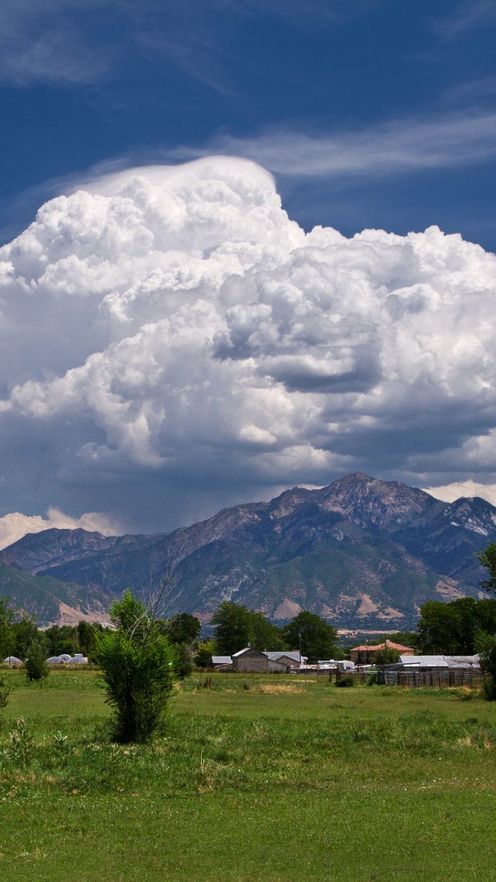 Grüne Bäume Auf Grüner Wiese Unter Weißen Wolken Und Blauem Himmel Tagsüber. Wallpaper in 720x1280 Resolution