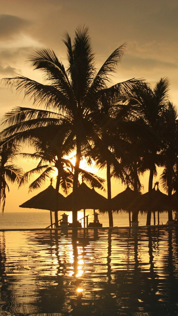 Silhouette de Palmiers Près D'un Plan D'eau Pendant le Coucher du Soleil. Wallpaper in 750x1334 Resolution