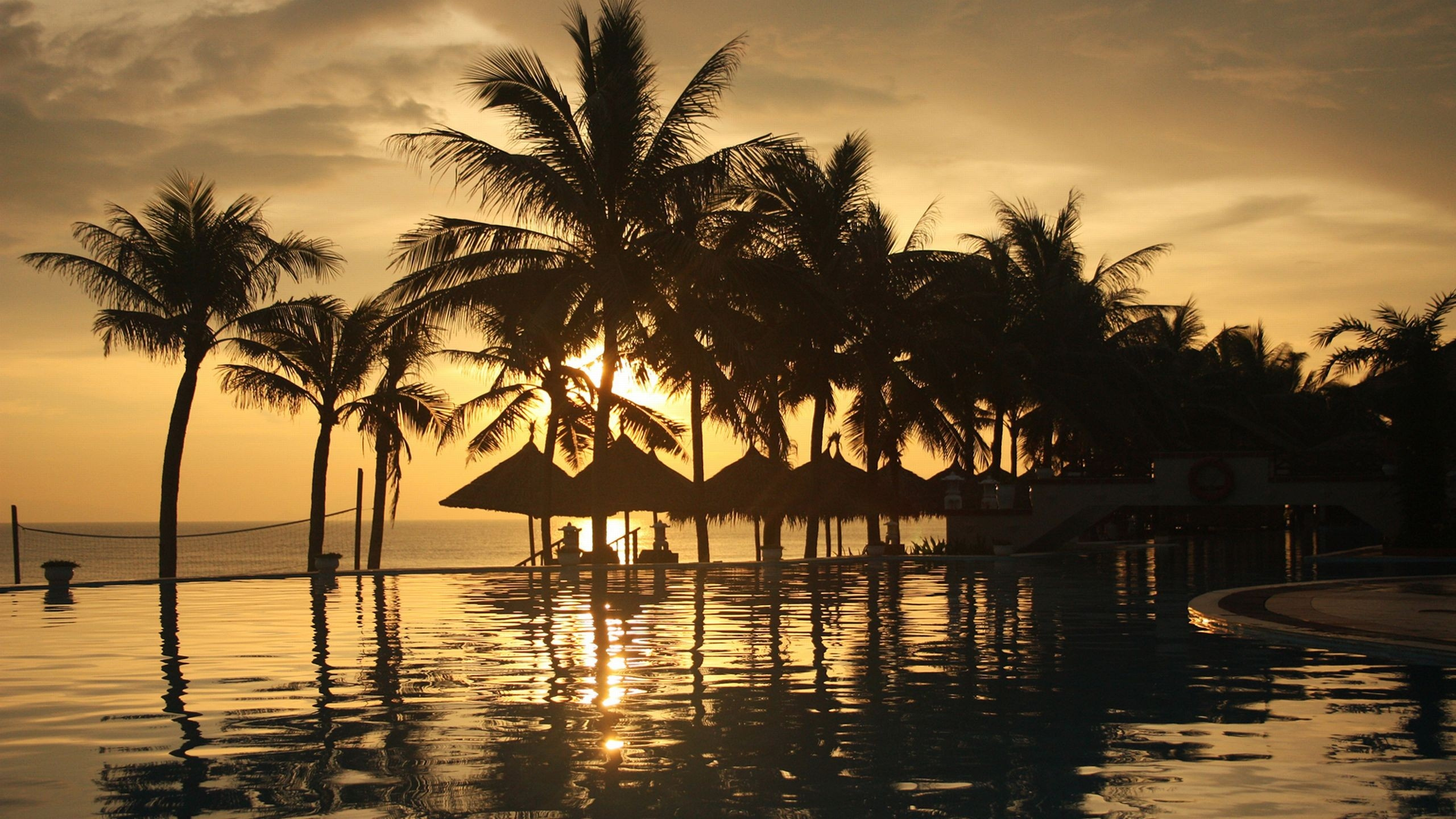 热带地区, 日落, 反射, 晚上, 棕榈树 壁纸 2560x1440 允许